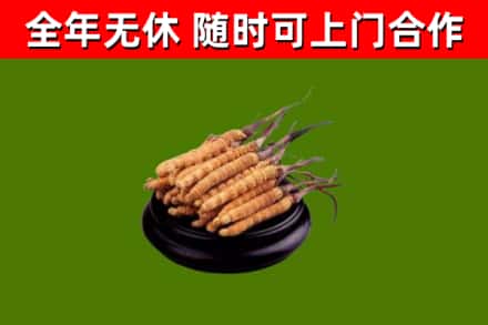 聂荣烟酒回收冬虫夏草.jpg