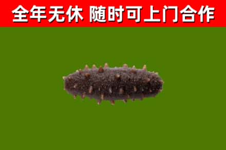 聂荣烟酒回收干海参.jpg